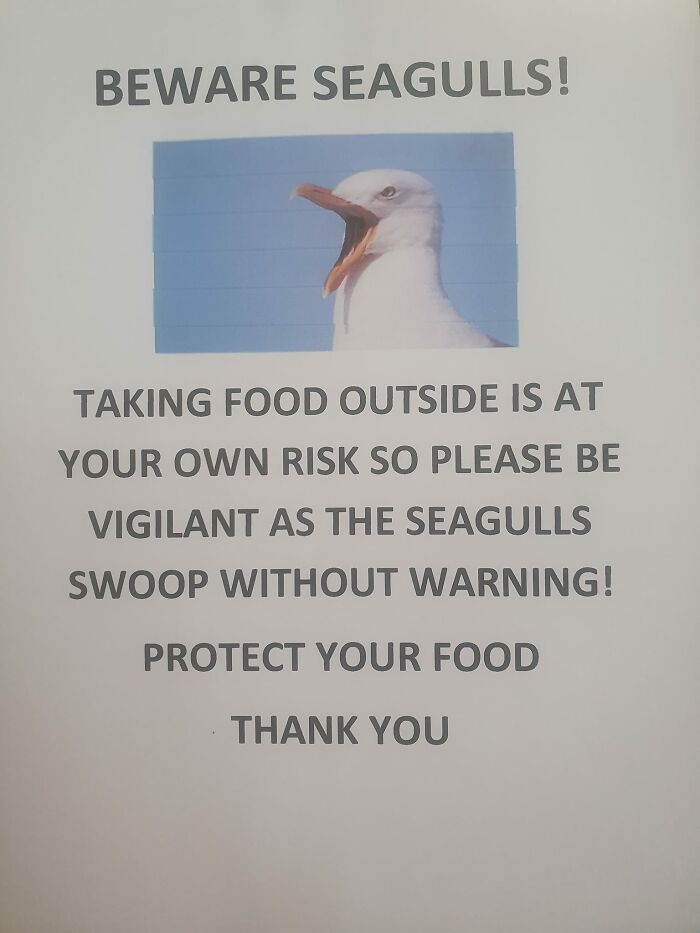 Warning sign about seagulls swooping for food, urging caution to protect against mistakes in outdoor dining. Warning sign about seagulls swooping for food, urging caution to protect against mistakes in outdoor dining.